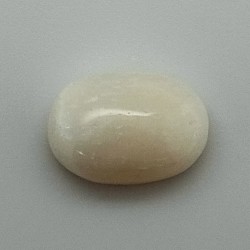 White Coral (Safed Moonga)  6.16 Ct Certified